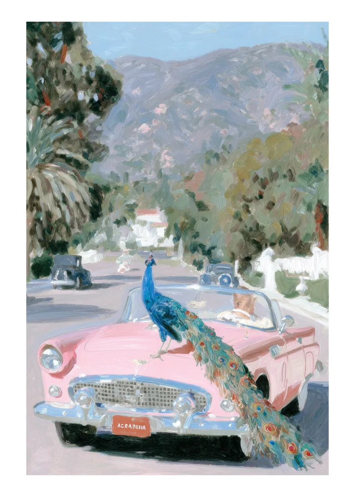 Curio edition — painted artwork, front